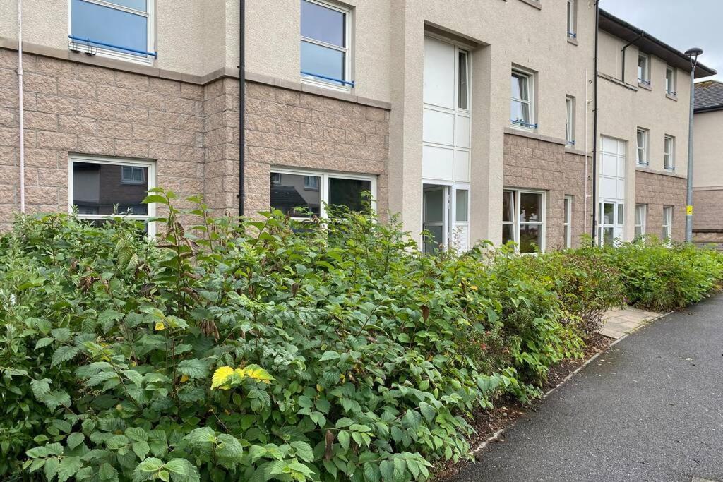 Peter Pan In The Heart Of Inverness Appartement *
